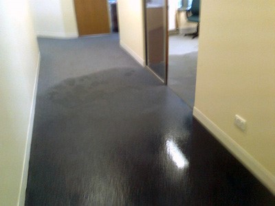 Flooded carpet cleaning treatment